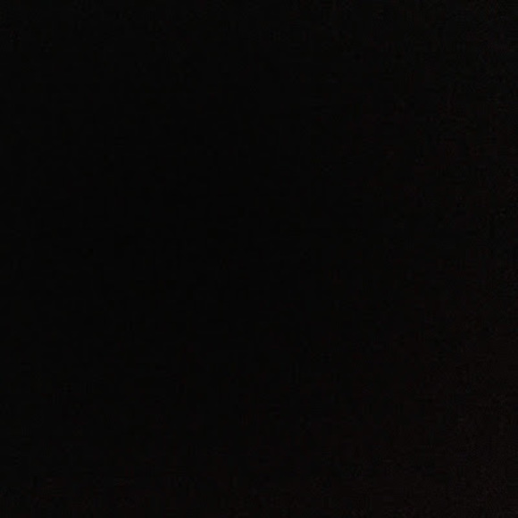 Meet your Posher, Bryan - Picture 1 of 1